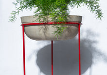 Load image into Gallery viewer, Linea Citra L (Planter stand)