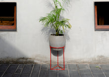 Load image into Gallery viewer, Linea Citra S (Planter stand)
